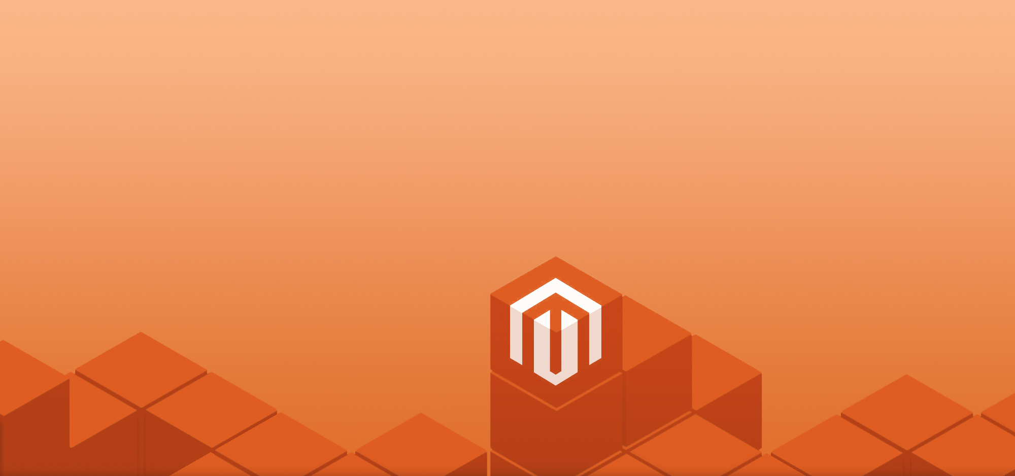 banner-6-scaled.png
